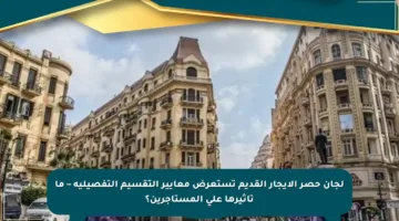 لجان حصر الإيجار القديم تستعرض معايير التقسيم التفصيلية – ما تأثيرها على المستأجرين؟